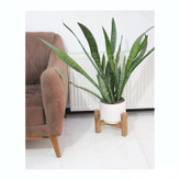 خرید پایه گلدان چوبی