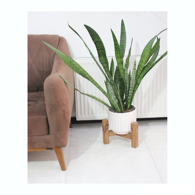 خرید پایه گلدان چوبی