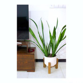 استند گلدان مدل پایه گلدان