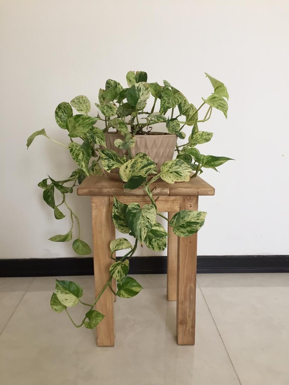 چهارپایه چوبی روستیک دکور مدل W15224