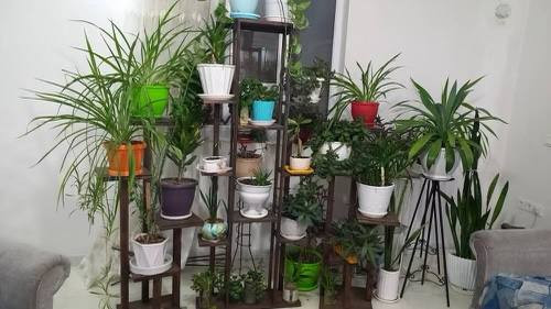 قیمت استند گلدان چوبی