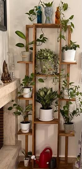 قیمت استند گلدان چوبی