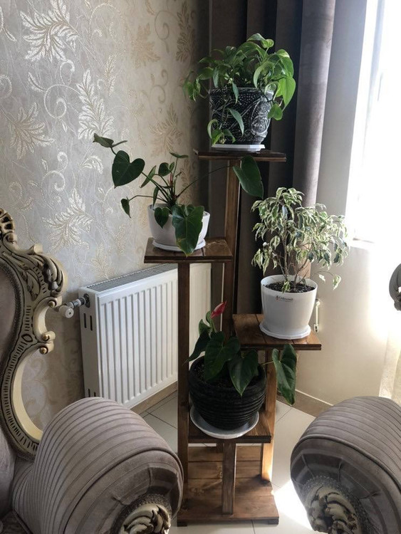 قیمت استند گل چوبی دیجی کالا