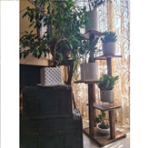 استند گلدان