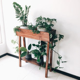 فلاور باکس دیجی کالا